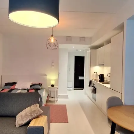 Modern & Cozy In アパート ヘルシンキ